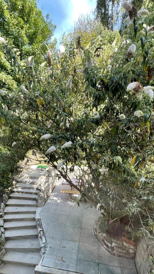 דירות בולון-סור-מאר Au Jardin De La Basilique מראה חיצוני תמונה